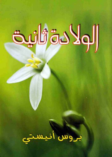 صورة الولادة ثانية - بروس أنستي