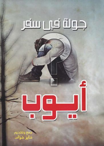 صورة جولة في سفر أيوب - فايز فؤاد