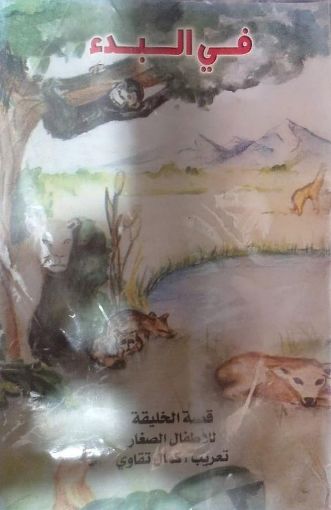 صورة في البدء